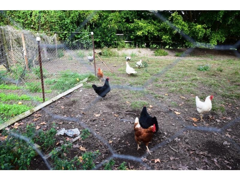 Mudgeeraba QLD 4213