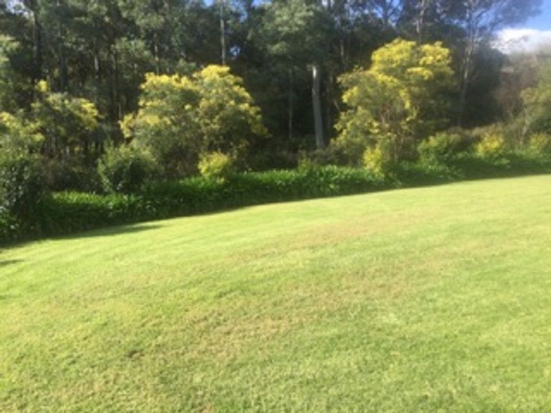 Tamborine Mountain QLD 4272