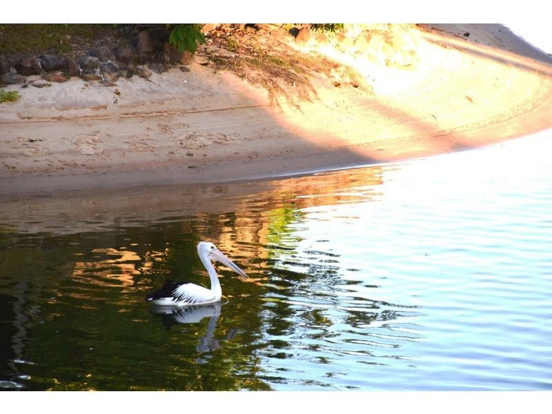 124 RIO VISTA Boulevard, Broadbeach Waters QLD 4218
