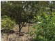 Mudgeeraba QLD 4213