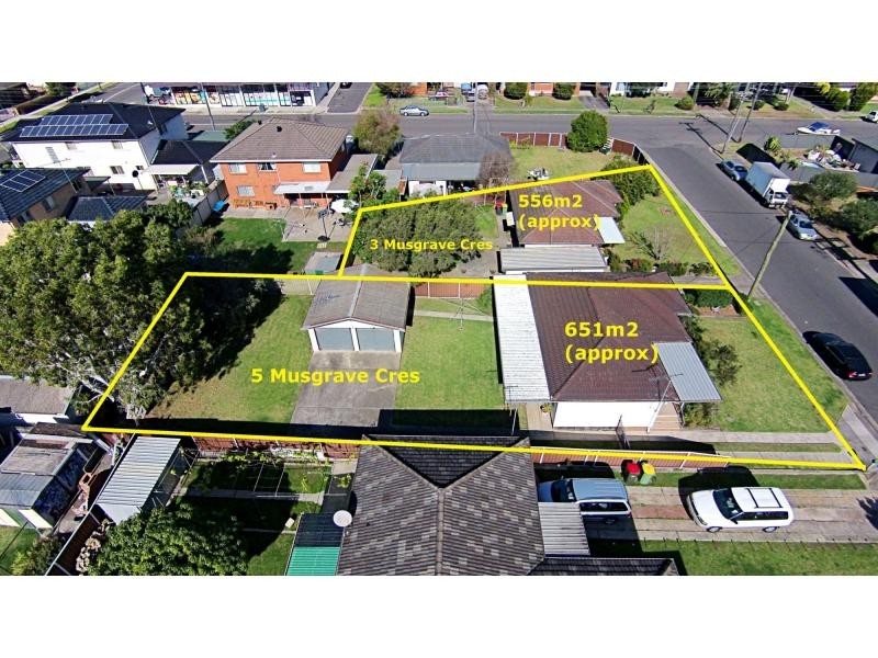 3 Musgrave Crescent, Fairfield West NSW 2165
