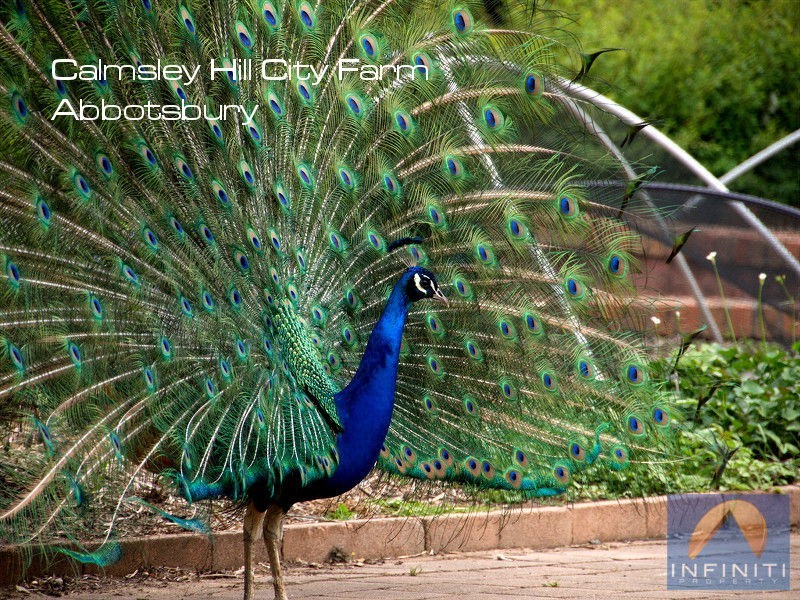 7 Jindabyne Street, Bossley Park NSW 2176