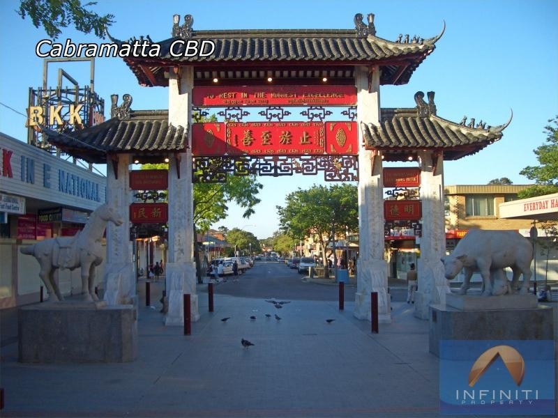 17 High Street, Cabramatta West NSW 2166