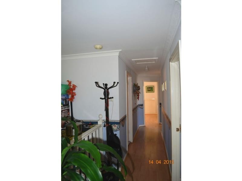 103 Bland Street, Ashfield NSW 2131