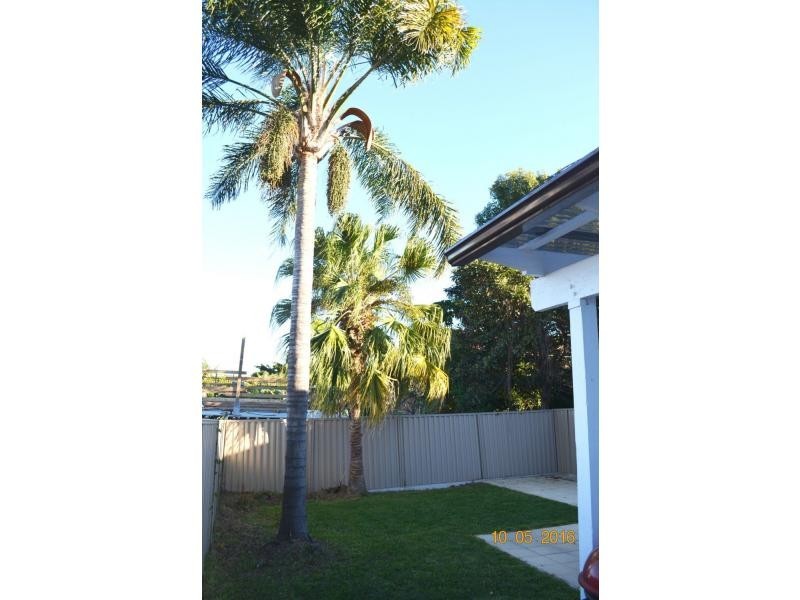 2 Liverpool Road, Croydon NSW 2132