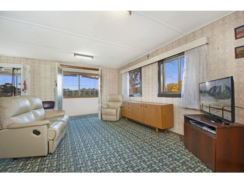 20 Modern Avenue, Canterbury NSW 2193