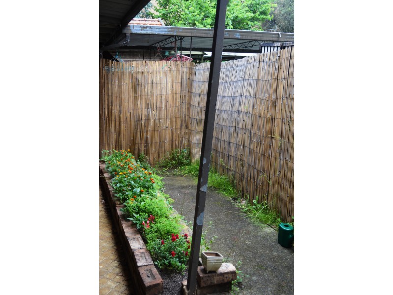 16A Tintern Rd, Ashfield NSW 2131