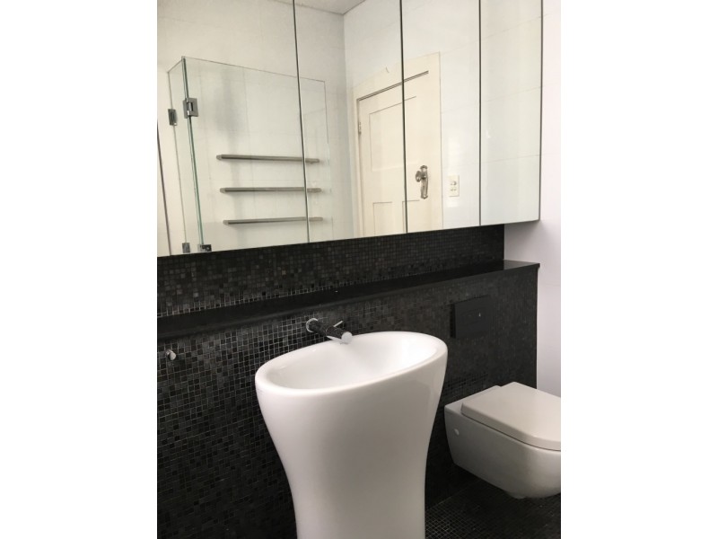 88 Roslyn St, Ashbury NSW 2193