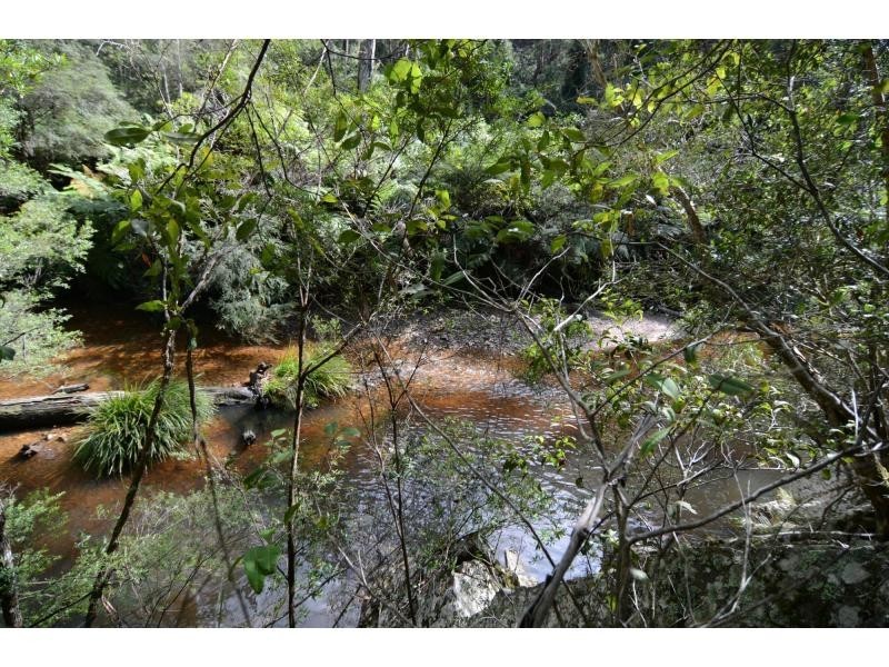 478 Towamba Road, Nullica NSW 2551