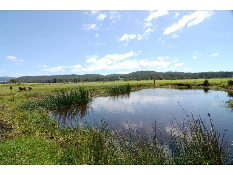 41 Northview Drive, South Pambula NSW 2549