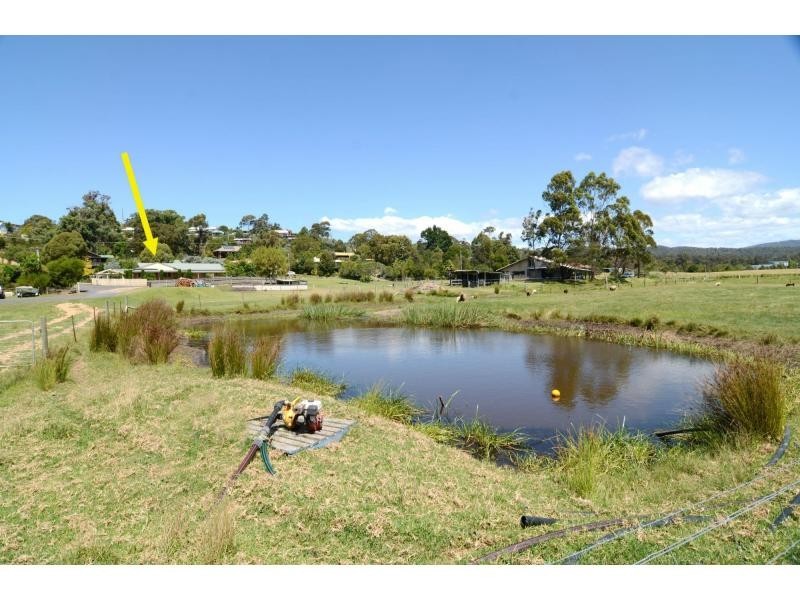 41 Northview Drive, South Pambula NSW 2549