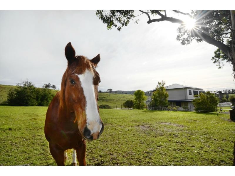 338 Bald Hills Road, Bald Hills NSW 2549