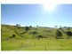 338 Bald Hills Road, Bald Hills NSW 2549