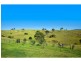 338 Bald Hills Road, Bald Hills NSW 2549