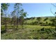 972 Back Creek Road, Lochiel NSW 2549