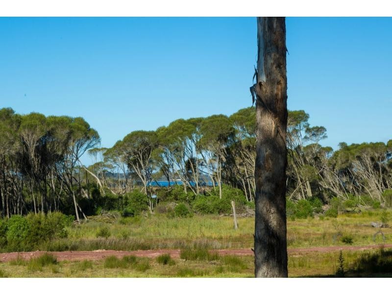 2529 Princes Highway, Millingandi NSW 2549