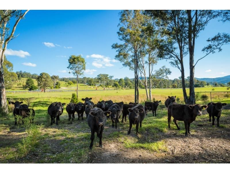 2529 Princes Highway, Millingandi NSW 2549