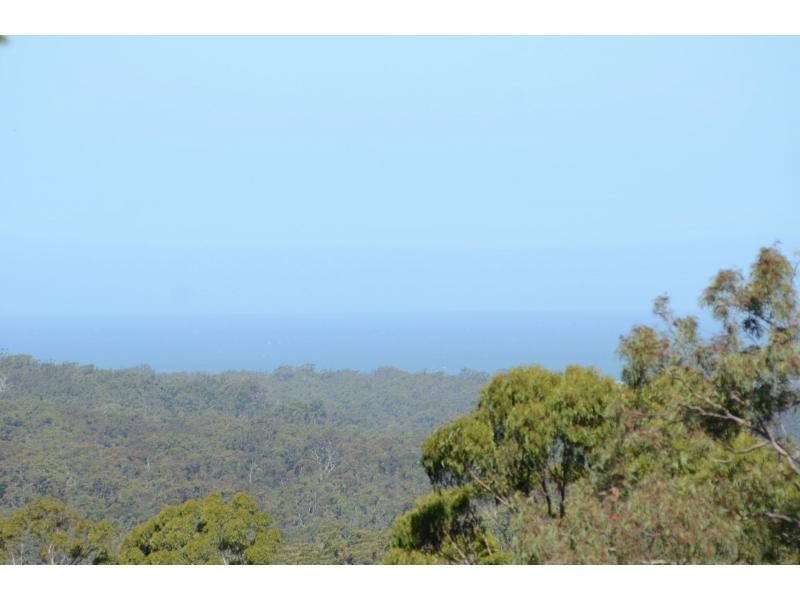 551 Oaklands Road, Bald Hills NSW 2549