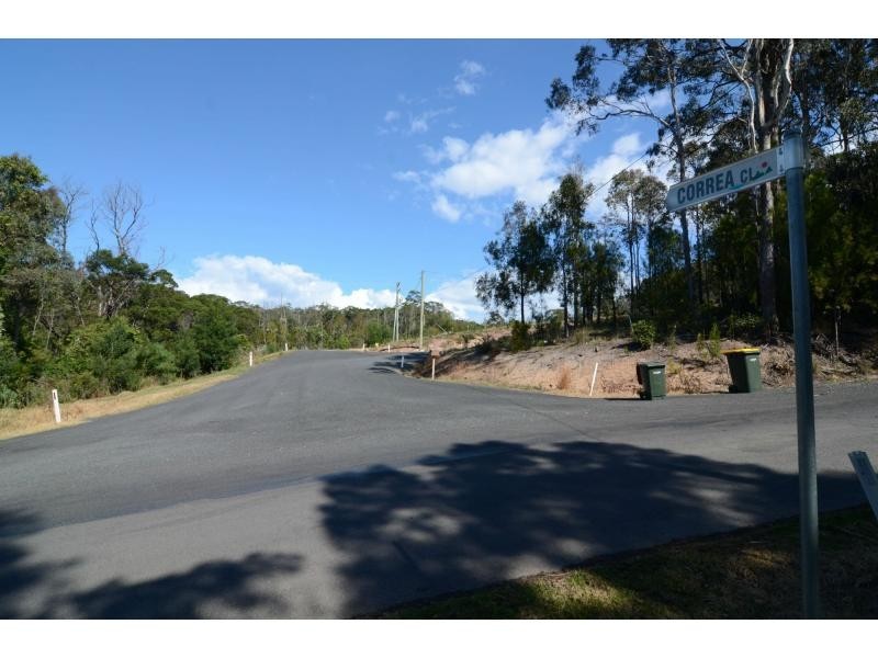 L4 Correa Close, Millingandi NSW 2549