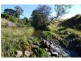 232 Bald Hills Road, Bald Hills NSW 2549