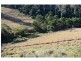 232 Bald Hills Road, Bald Hills NSW 2549