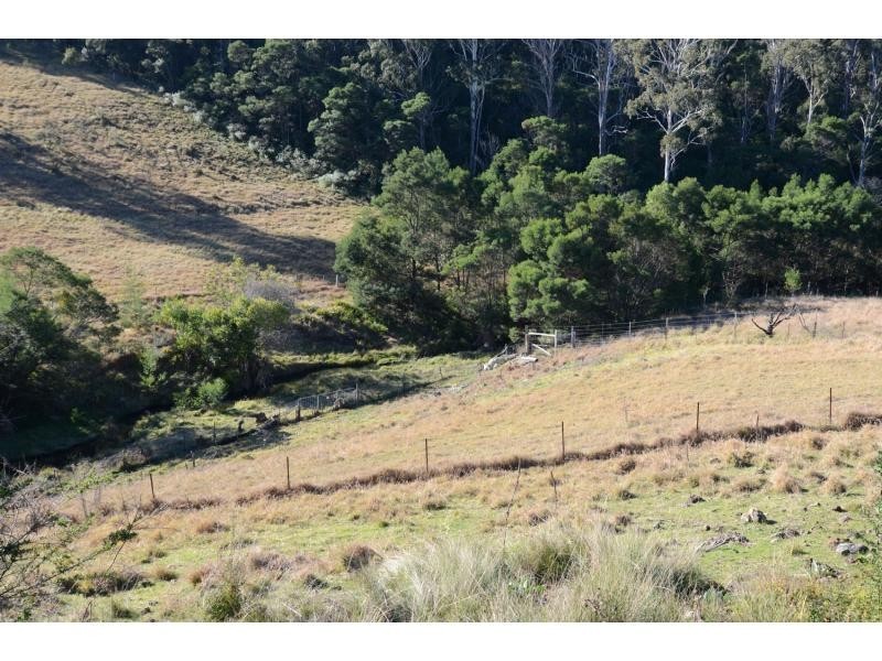 232 Bald Hills Road, Bald Hills NSW 2549