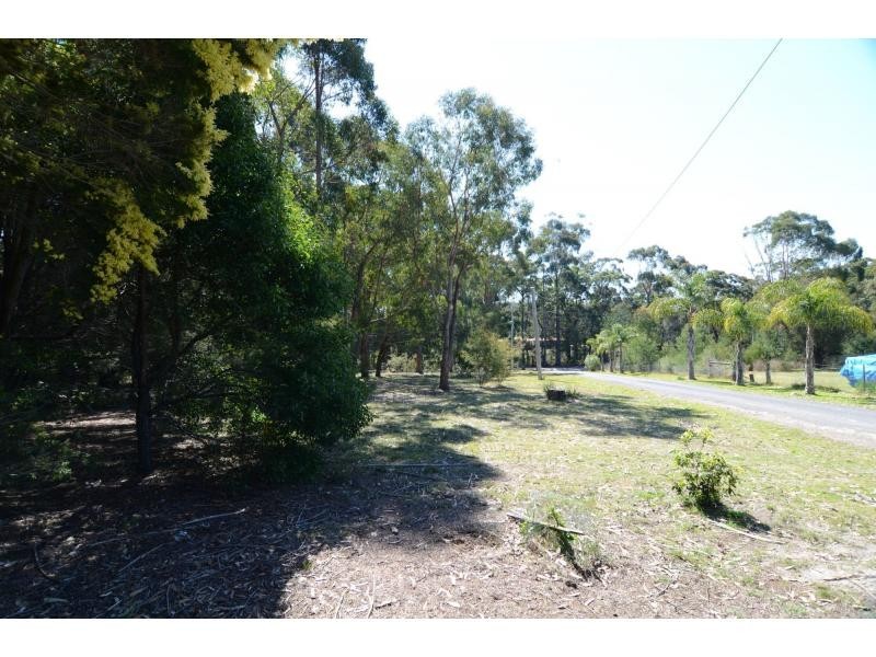 10 North Street, Wonboyn NSW 2551