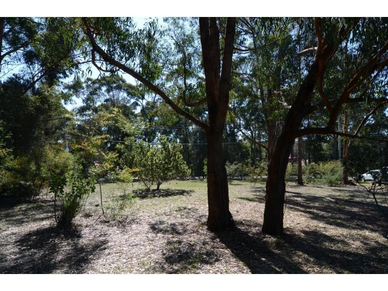 10 North Street, Wonboyn NSW 2551