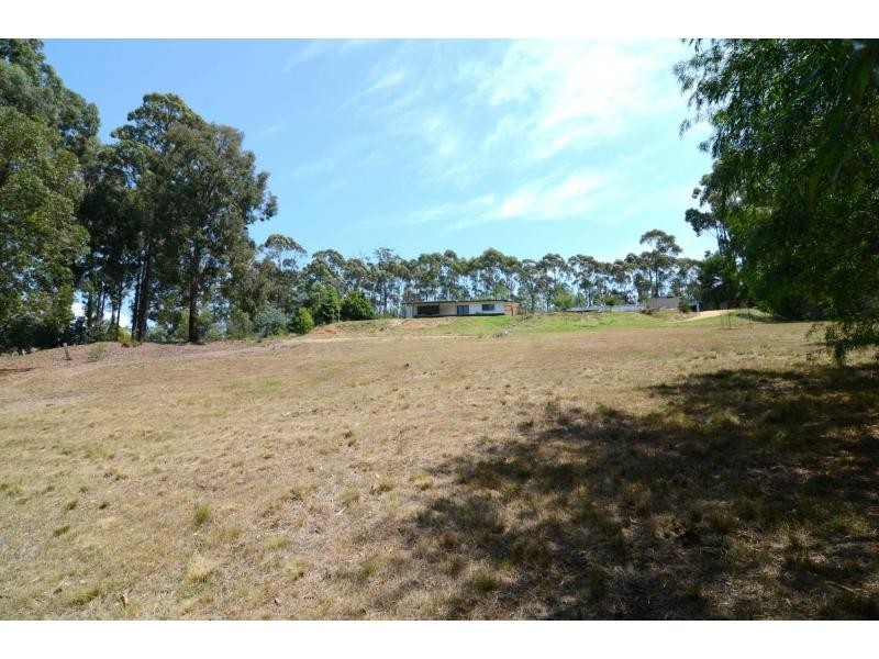 218 Back Creek Road, Nethercote NSW 2549