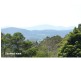 L411 Ruggs Road, Nethercote NSW 2549
