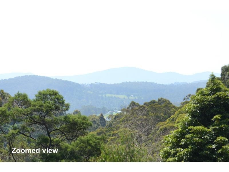 L411 Ruggs Road, Nethercote NSW 2549