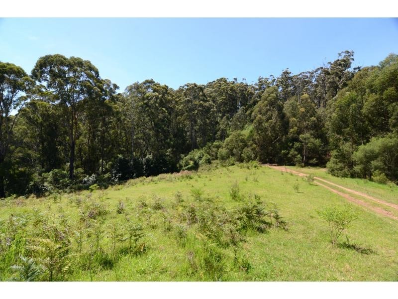 L411 Ruggs Road, Nethercote NSW 2549