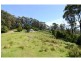 L411 Ruggs Road, Nethercote NSW 2549