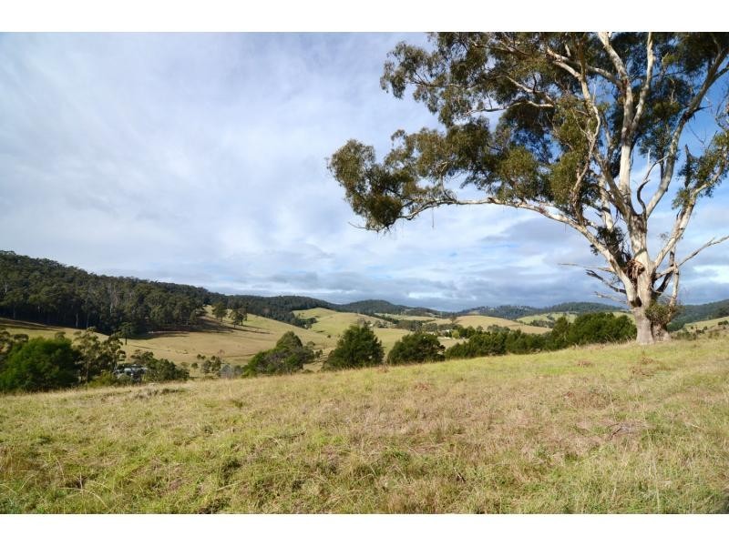 L712 Nethercote Road, Nethercote NSW 2549