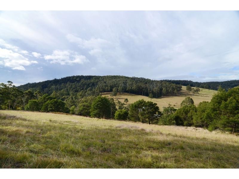 L712 Nethercote Road, Nethercote NSW 2549