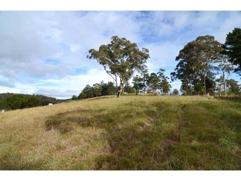 L712 Nethercote Road, Nethercote NSW 2549