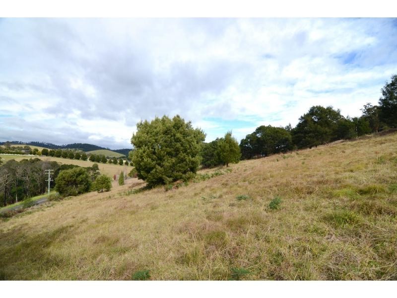 L712 Nethercote Road, Nethercote NSW 2549