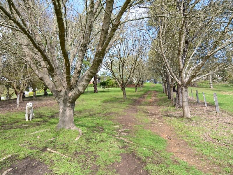 16 Eurack Court, Kiah NSW 2551