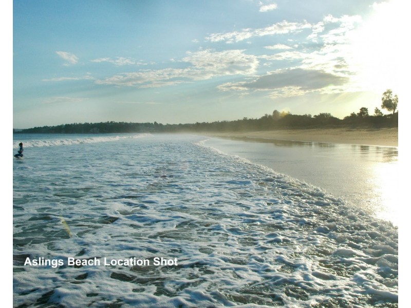 38 Kingfisher Circuit, Eden NSW 2551