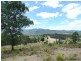 135 Yambulla Road, Towamba NSW 2550