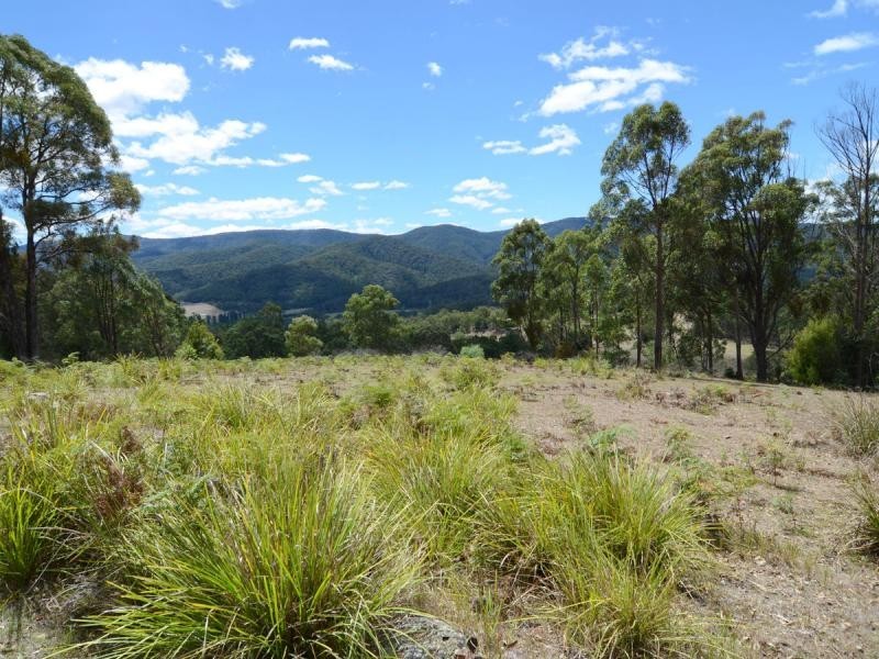135 Yambulla Road, Towamba NSW 2550
