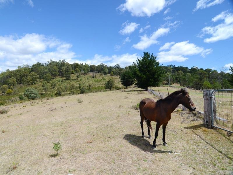 135 Yambulla Road, Towamba NSW 2550