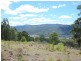 135 Yambulla Road, Towamba NSW 2550