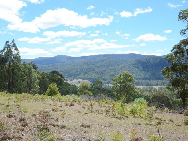 135 Yambulla Road, Towamba NSW 2550