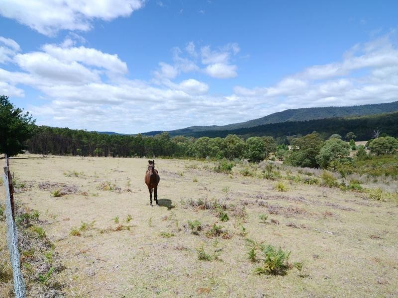 135 Yambulla Road, Towamba NSW 2550