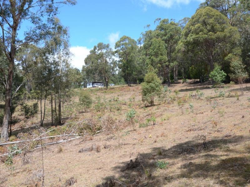 135 Yambulla Road, Towamba NSW 2550
