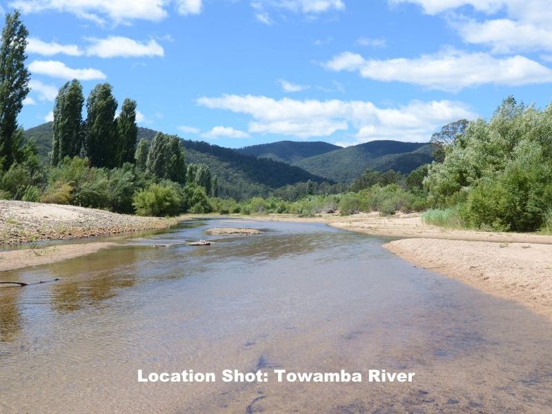 135 Yambulla Road, Towamba NSW 2550
