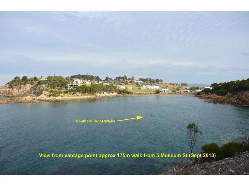 5 Museum Street, Eden NSW 2551