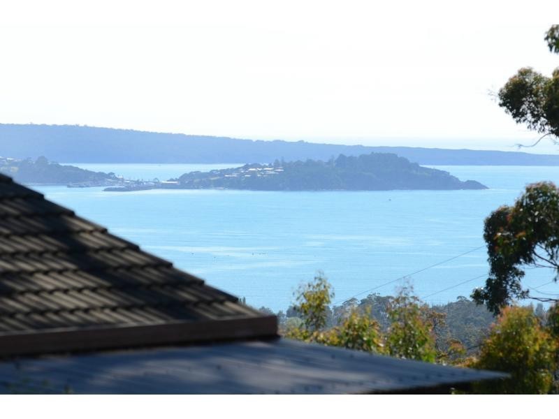 203 Yarran Road, Boydtown NSW 2551
