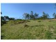 972 Back Creek Road, Lochiel NSW 2549